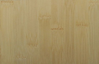 装飾的なタケ木製のベニヤの羽目板、クルミのベニヤの合板