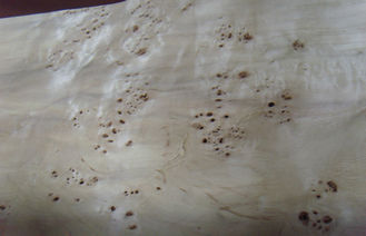 ポプラの自然な節玉によってスライスされる切口の木製のベニヤ シート、ニレの節玉のベニヤ