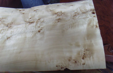 平らな Burled の木製のベニヤによってスライスされる切口、建設上の灰の節玉のベニヤ