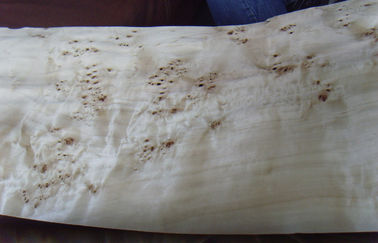 平らな Burled の木製のベニヤによってスライスされる切口、建設上の灰の節玉のベニヤ