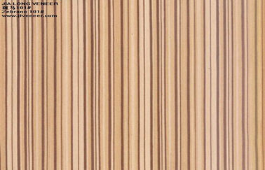 人工建設上の設計された Zebrano の木製のベニヤの壁パネル