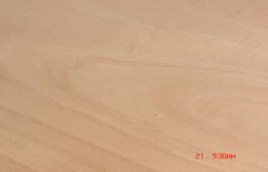 Okoume の自然で黄色いベニヤ、0.20 mm -回転式切口のベニヤ 0.60 mm の