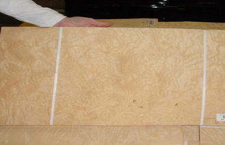 白く自然な灰の木製のベニヤの切れは内部の仕上げのための 0.5mm の厚さを切りました